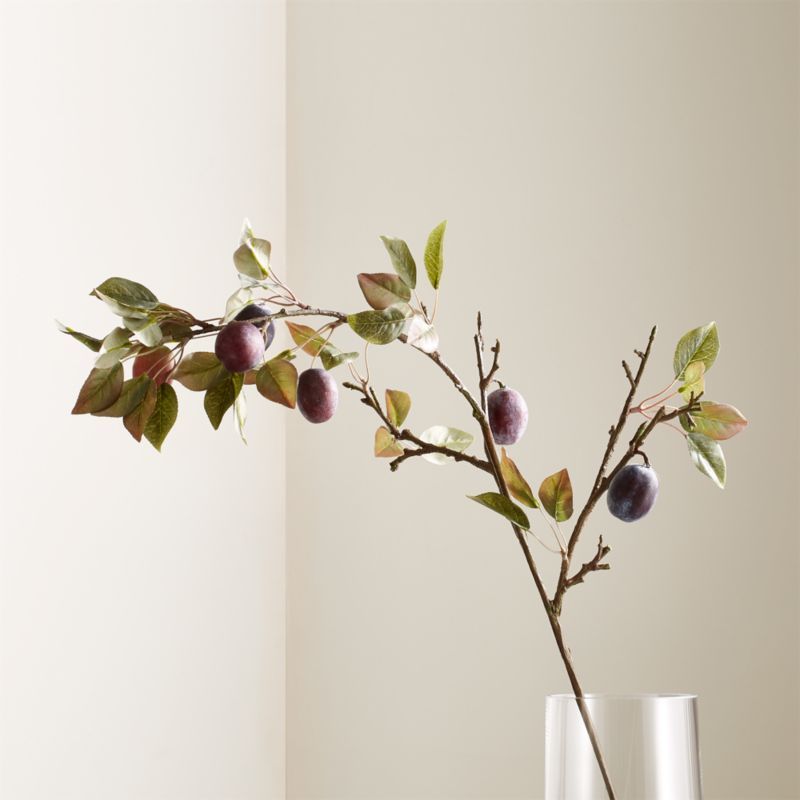 Plum Stem + Reviews | Crate & Barrel | Crate & Barrel