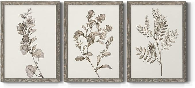 Wall Art, Home Décor, Lifestyle, Travel, Cottage, French Country, Shabby Chic, Animals, Grey Bar... | Amazon (US)