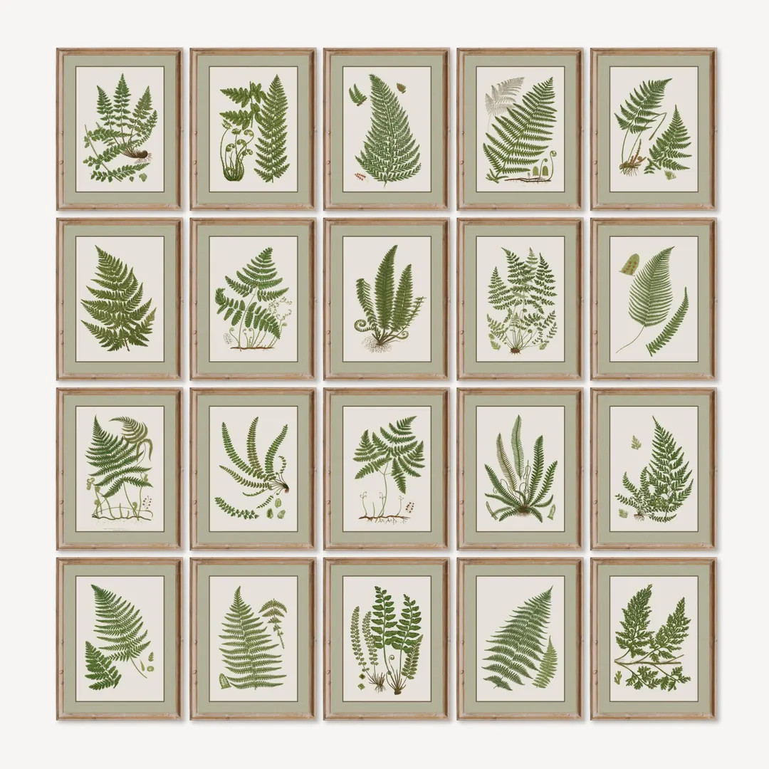 Vintage Fern Print, Vintage Botanical Gallery Wall Set Bundle of 20, Green Botanical Printable Fa... | Etsy (US)