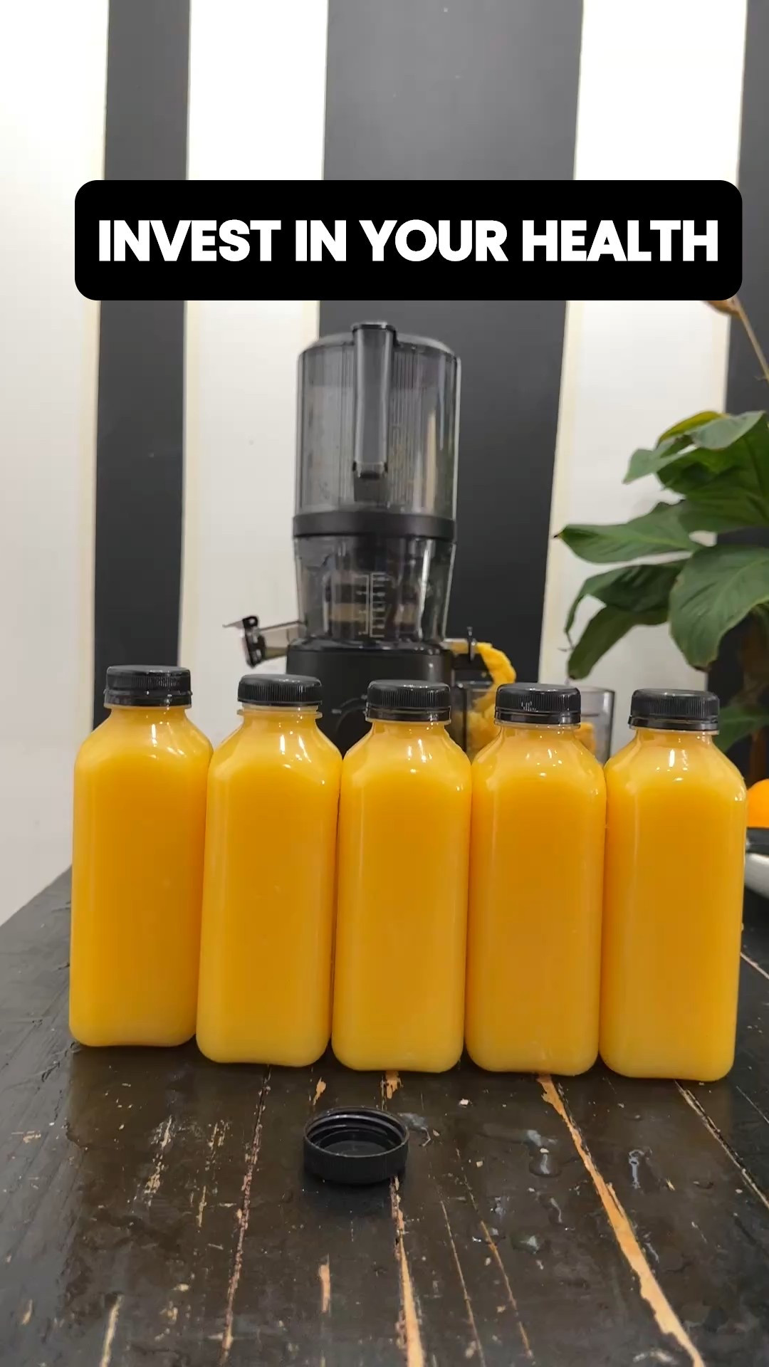 The Juicer That Changed My Life!! 🥤✨
I’ve lost weight, boosted my energy, and completely reset my gut — all thanks to juicing daily with the Nama J2 🥬🍍
It’s fast, quiet, and so easy to use — my favorite investment ever.

#LTKwellness #LTKhealth #LTKhome #LTKfinds #NamaJ2 #ColdPressedJuicer #HealthyLifestyle #LTKunder200 #JuicingJourney #GlowFromWithin

#LTKHome #LTKActive #LTKSeasonal