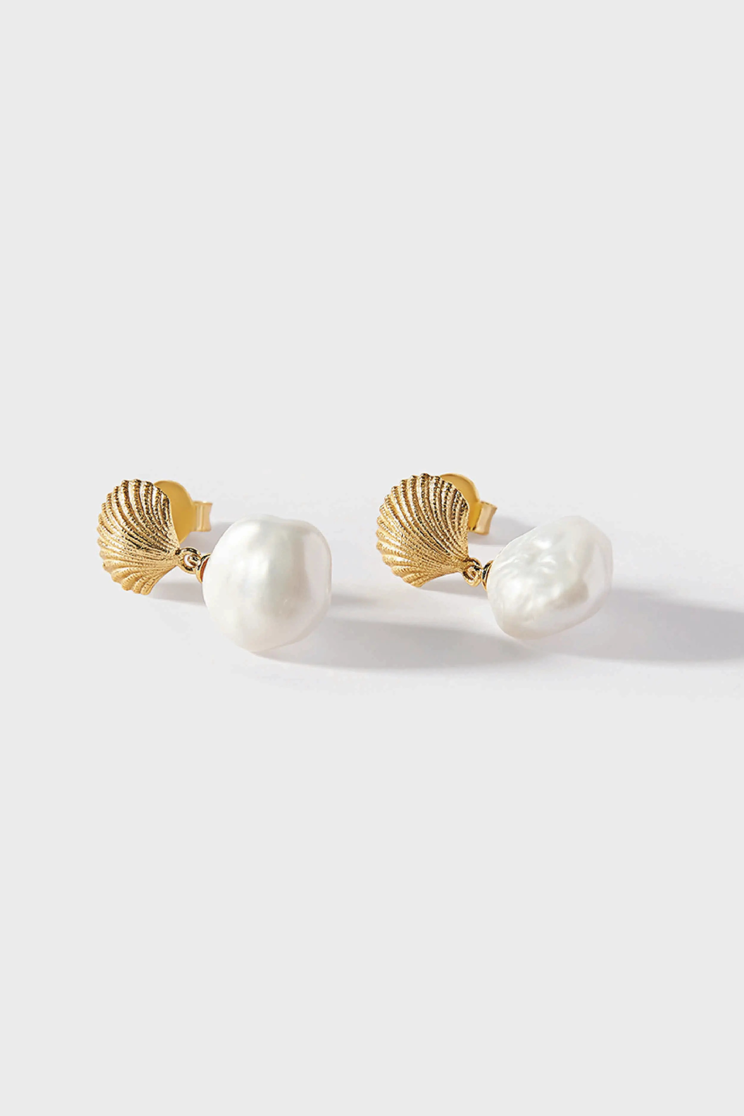Ocean Shell Earrings (Women) | Nordstrom | Nordstrom