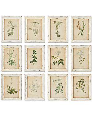 Showing results for “set of 12 botanical frames” | Gilt & Gilt City