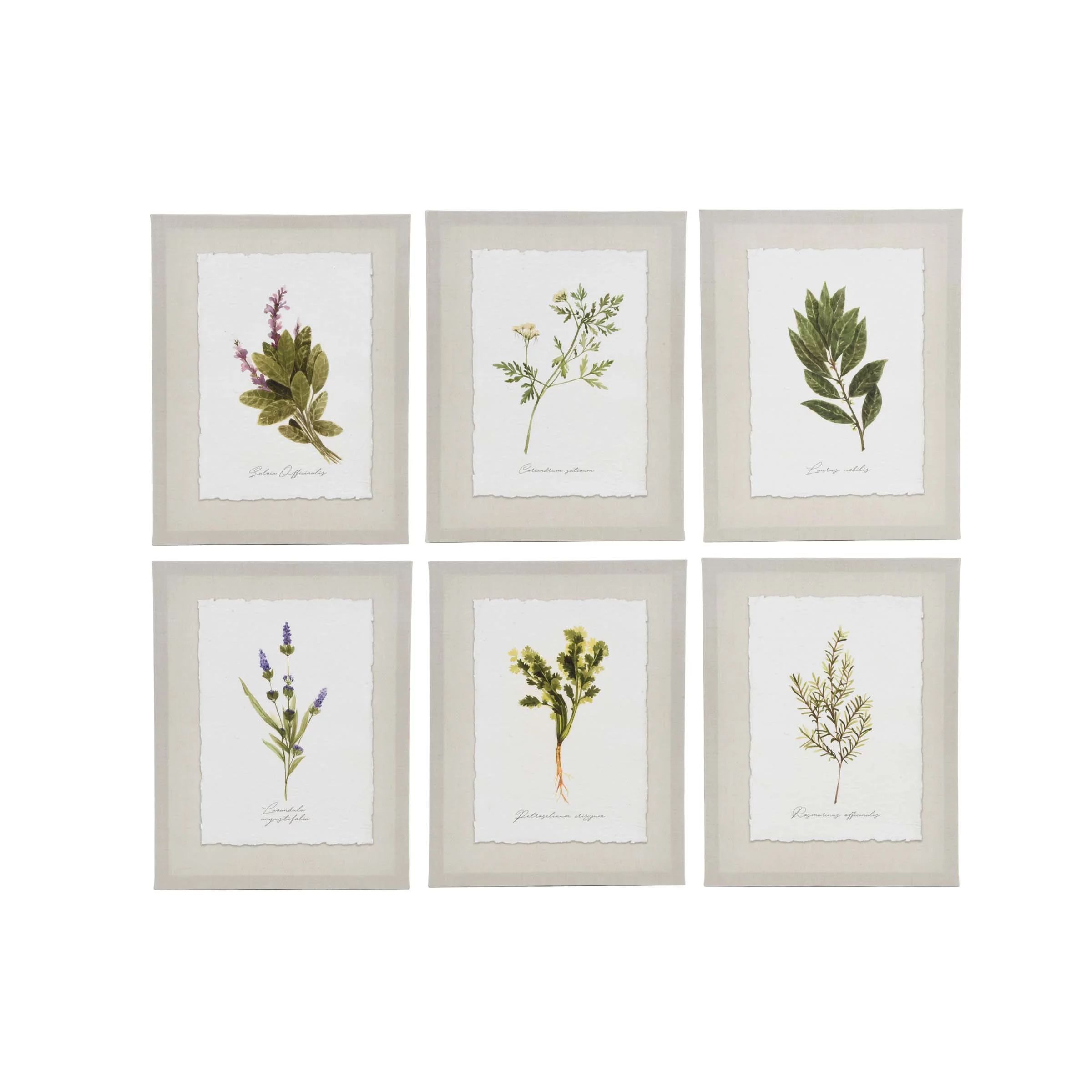 Ava Barrett Botanical Herbs 10.5" x 13.5" Multicolor Canvas Art Prints, Set of 6, by Prinz - Walm... | Walmart (US)