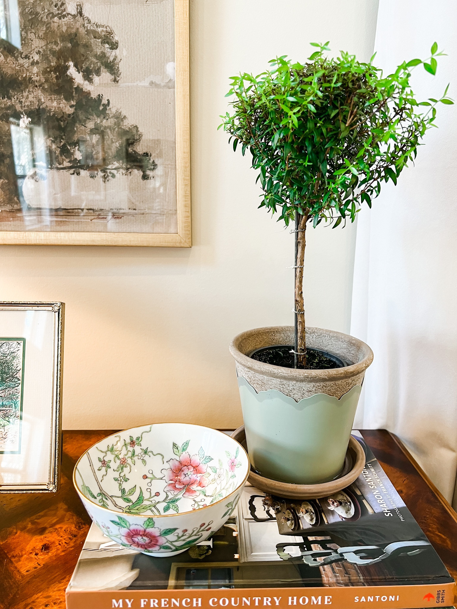 Myrtle plant vignette decor grandmillennial table decor living room coffee table book

#LTKunder50 #LTKhome