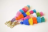 Rainbow Tassel keychain Tassel bag charm Pink Pom pom key chain Mint Tassel purse charm Fringe Handb | Amazon (US)