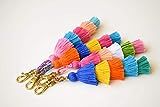 Rainbow Tassel keychain Tassel bag charm Pink Pom pom key chain Mint Tassel purse charm Fringe Handb | Amazon (US)