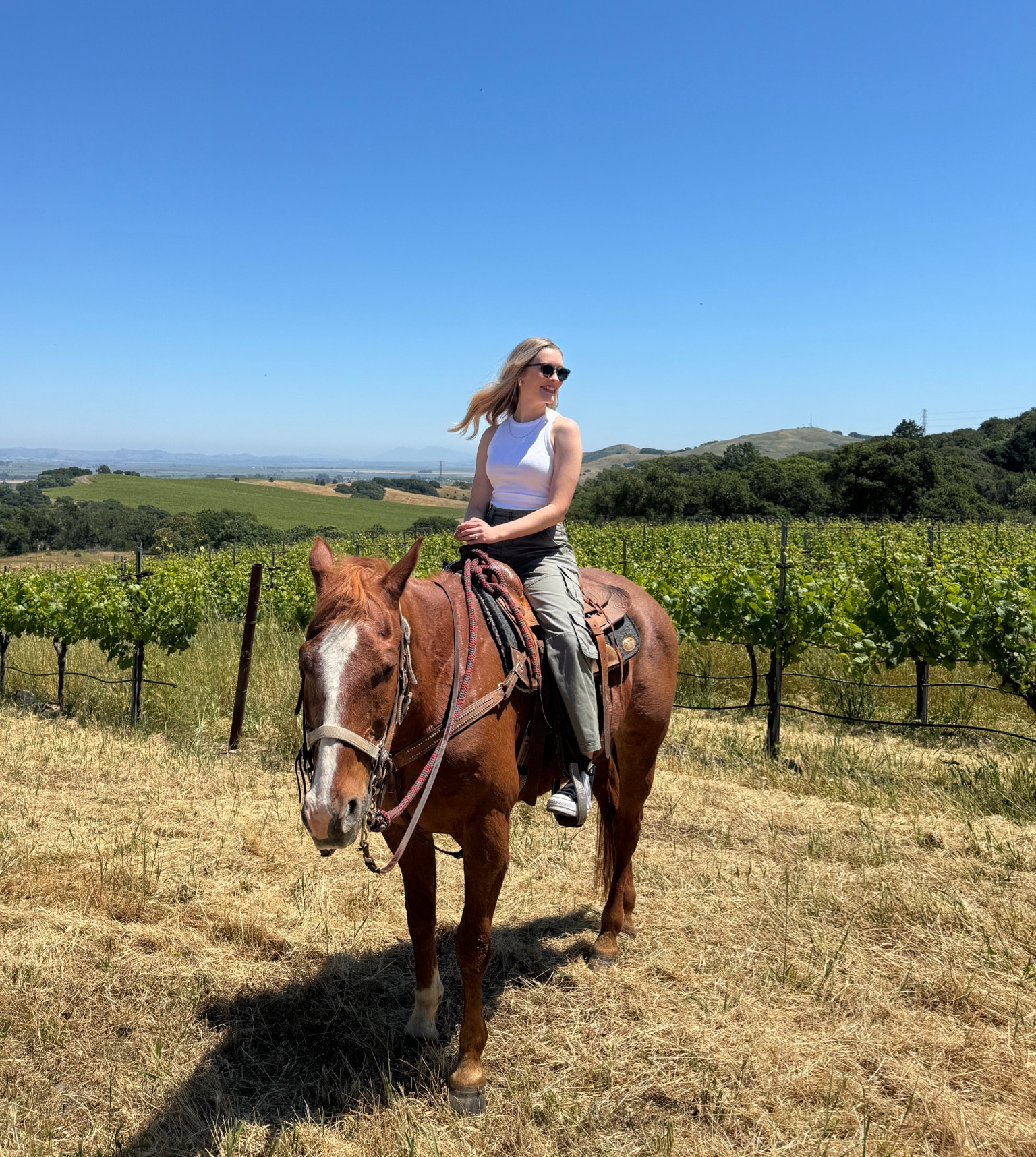 The best comfy cargo pants 

#LTKSaleAlert #LTKSeasonal