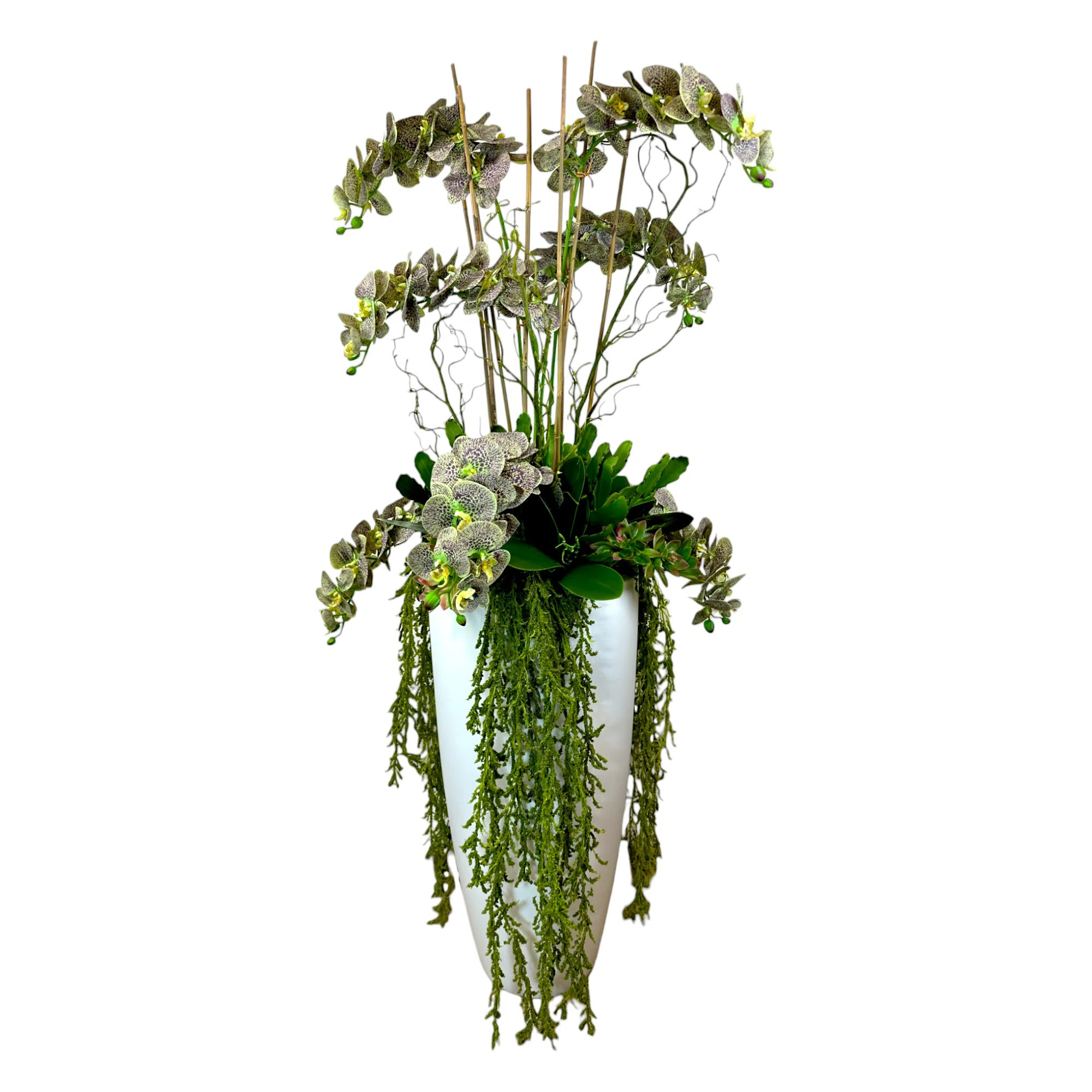 5.25' Orchid and Cactus Arranged in Fiberstone Planter | Wayfair North America