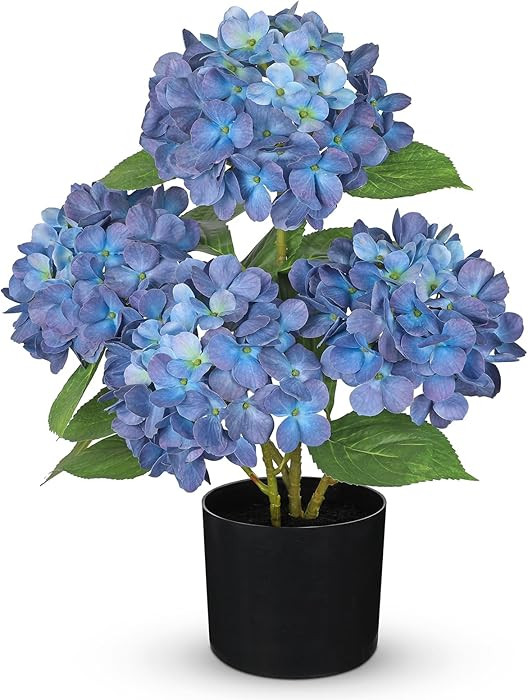 Hollyone Navy Blue Hydrangea Artificial Flowers in Pots 19.7" Four-Head Faux Silk Hydranges Flowe... | Amazon (US)