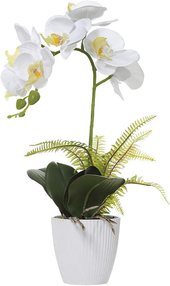 Olrla White Orchid Artificial Flower in Pot, Faux Phaleanopsis Orchid Bonsia for Office Home Wedd... | Amazon (US)