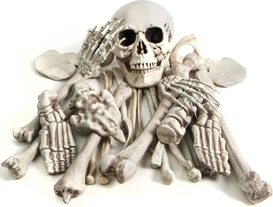 JOYIN 28 PCS Halloween Decorations Skeleton Bones and Skull Kit, Indoor Outdoor Decorations Plast... | Amazon (US)
