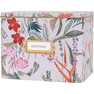 Vinca Blue Greeting Card Organizer and Storage Box with Dividers, Cards,...
$25.99 ($736.26/Ounce)

4.6 out of 5 stars
213
4.6 out of 5 stars. 213 customer reviews
 | Amazon (US)