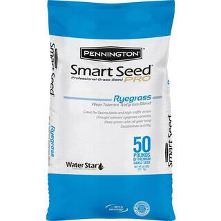 50 lbs. Smart Seed Professional Perennial Rye Blend Bulk Grass Seed | The Home Depot