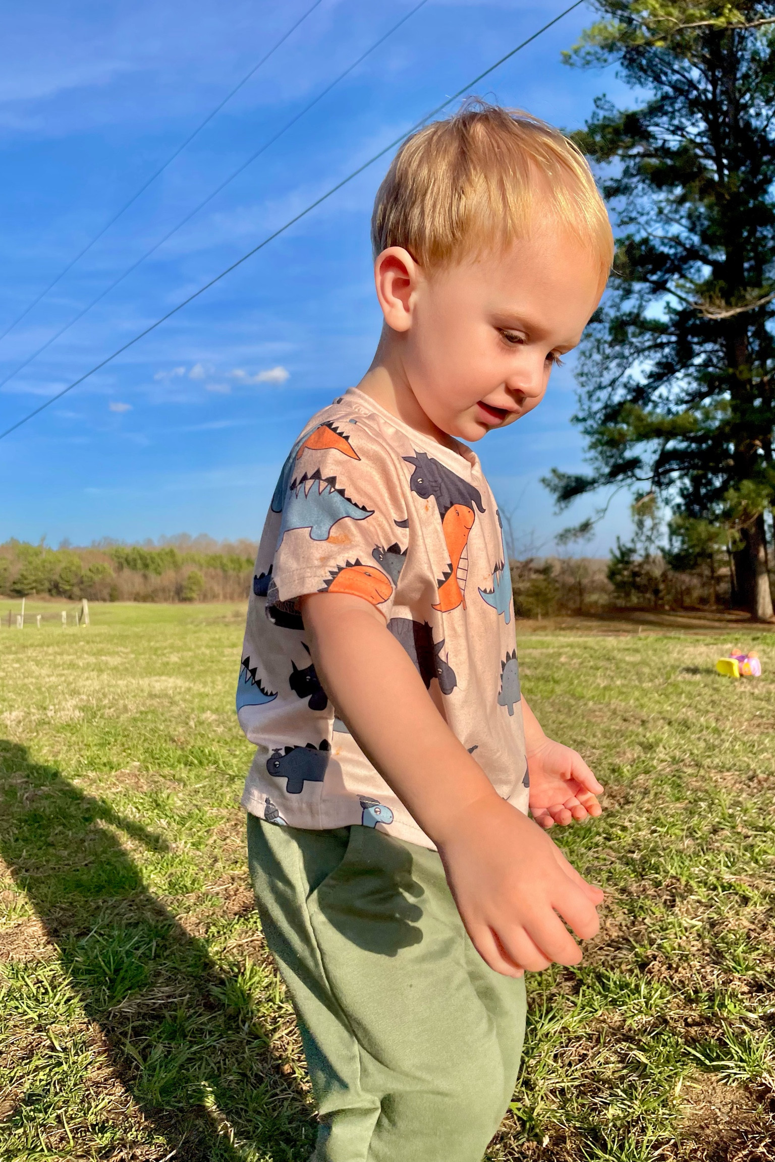 Dino outfit. Colorful T-shirt with some green pants 

#LTKunder50 #LTKfit #LTKkids