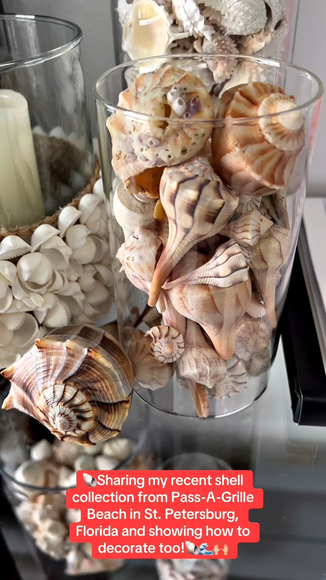 🐚Sharing my recent shell collection from Pass-A-Grille Beach in St. Petersburg, Florida and showing how to decorate too!🐚🌊🙌🏼

🐚COASTAL HOME DECOR: I’m starting to put together my summer seashell collection and wanted to share my progress with you!

🐚I keep purchasing glass vases to showcase all of the seashells that I have personally found on the Florida beaches that I’ve visited.

🐚Also found the cutest ceramic seashell box with lid and seashell trinket dish.

📚Had to throw in my go to seashell books and ginger jars that are on repeat year after year.

🍍Going for a pink summer coastal vibe. So far I’m loving it!

#LTKSeasonal #LTKOver40 #LTKSaleAlert #LTKHome #LTKSwim #LTKvlog
