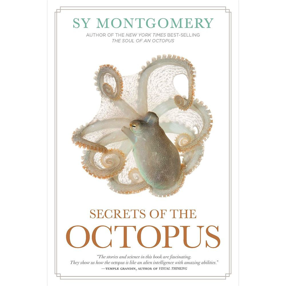 Secrets of the Octopus Book National Geographic Official shopDisney | Disney Store