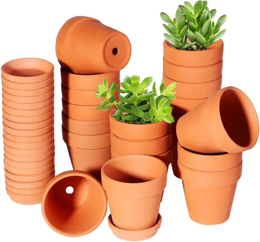 TKSCUSR 3 Inch Terracotta Pots with Saucer-20 Pack，Cactus Terra Cotta Flower Pots with Drainage... | Amazon (US)