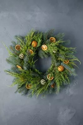 Fresh Evergreen + Dried Citrus Wreath | Anthropologie (US)
