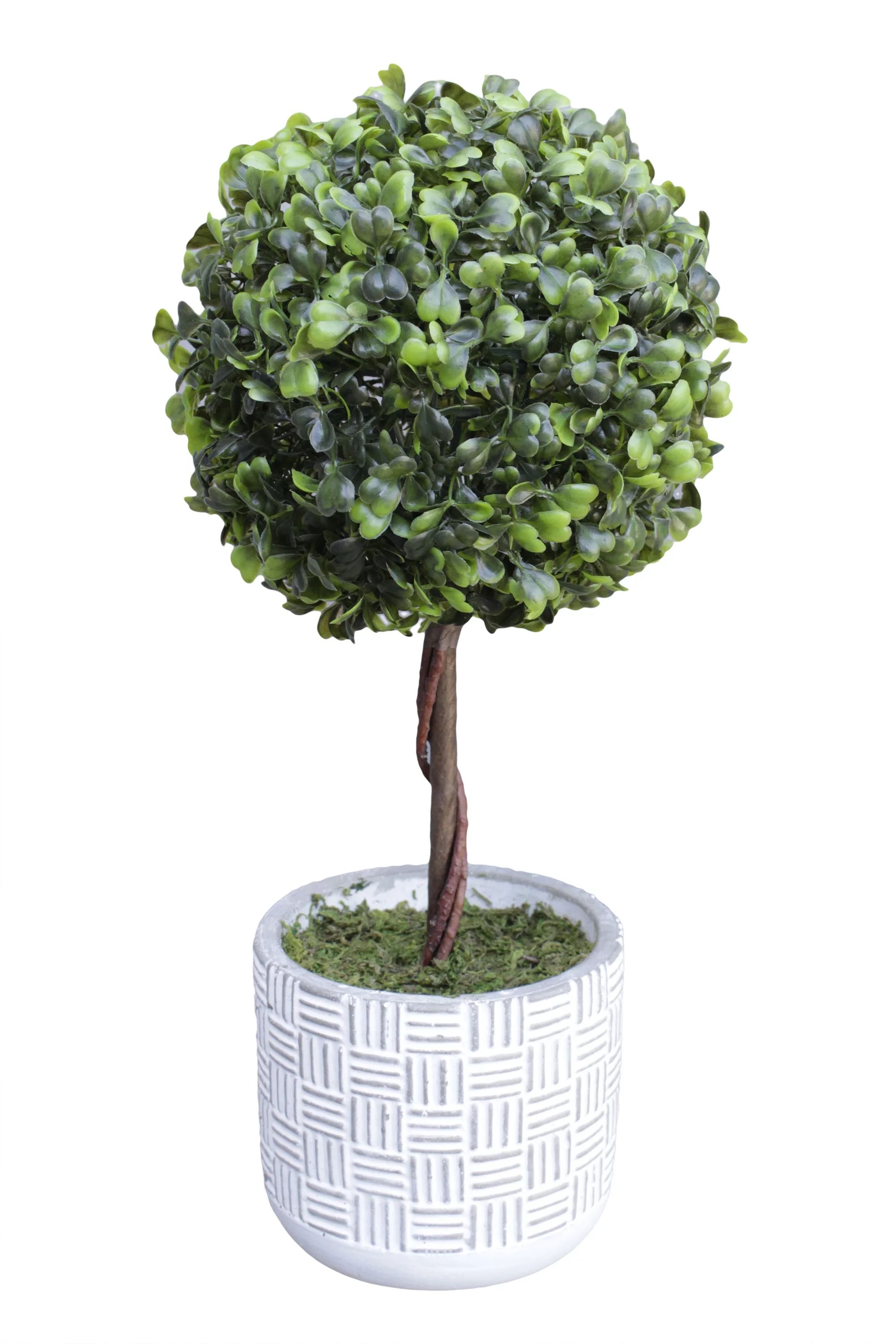 Mainstays 15"Artificial Boxwood Topiary Plant in Gray Cement Planter (15"H x 7"W x 7"D) | Walmart (US)