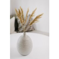 Dried Pampas Grass - Smooth Tan | THELIFESTYLEDCO