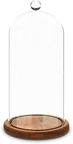 Amazon.com | Bell Glass Cloche Dome for Plants, Food, and Candles (5.1 x 5.1 x 10 In): Cake Stand... | Amazon (US)