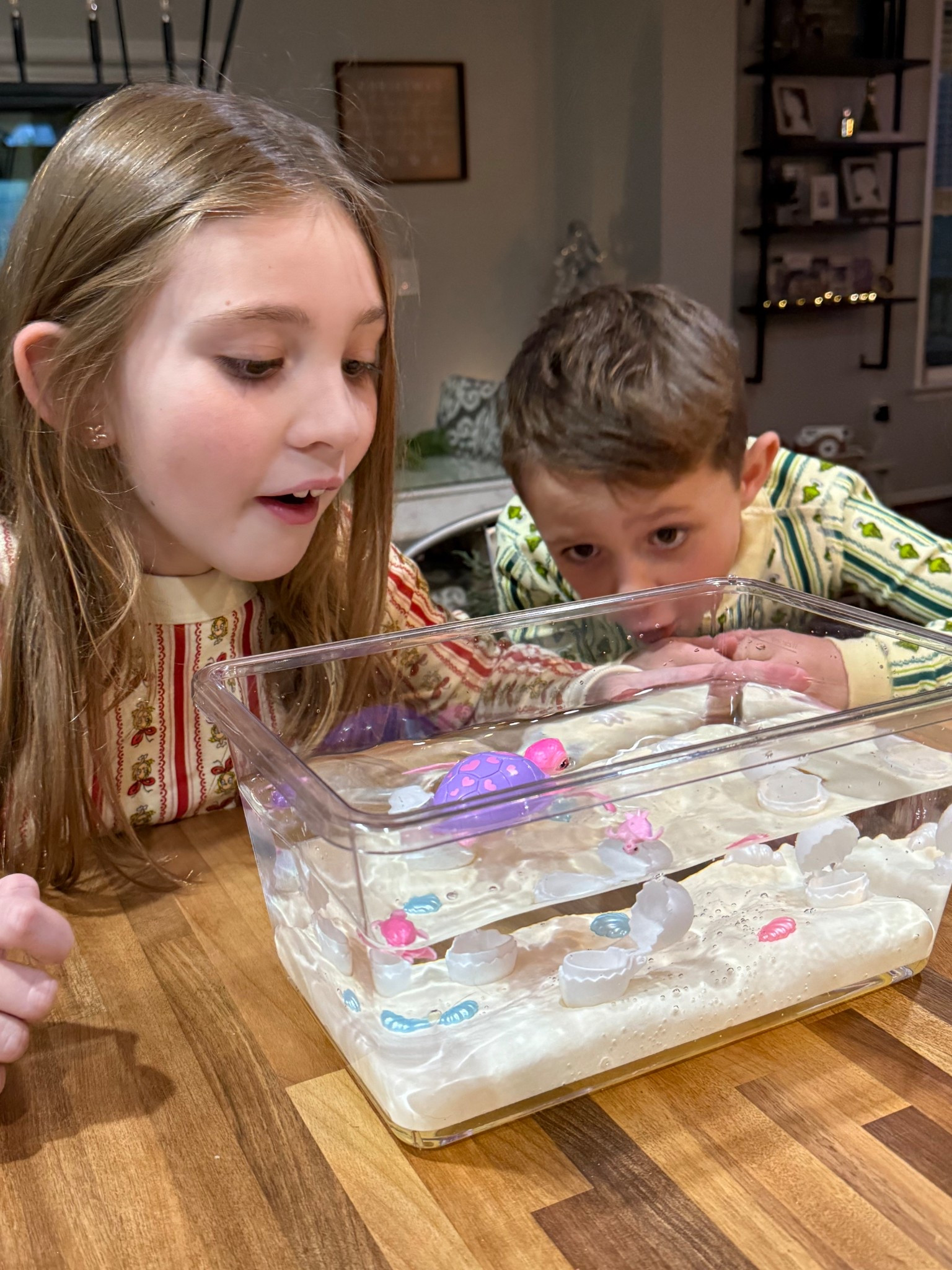 #alivepets baby turtles hatching, Providing hours of entertainment! 🐢 

#LTKValentine #LTKmomlife #LTKKids
