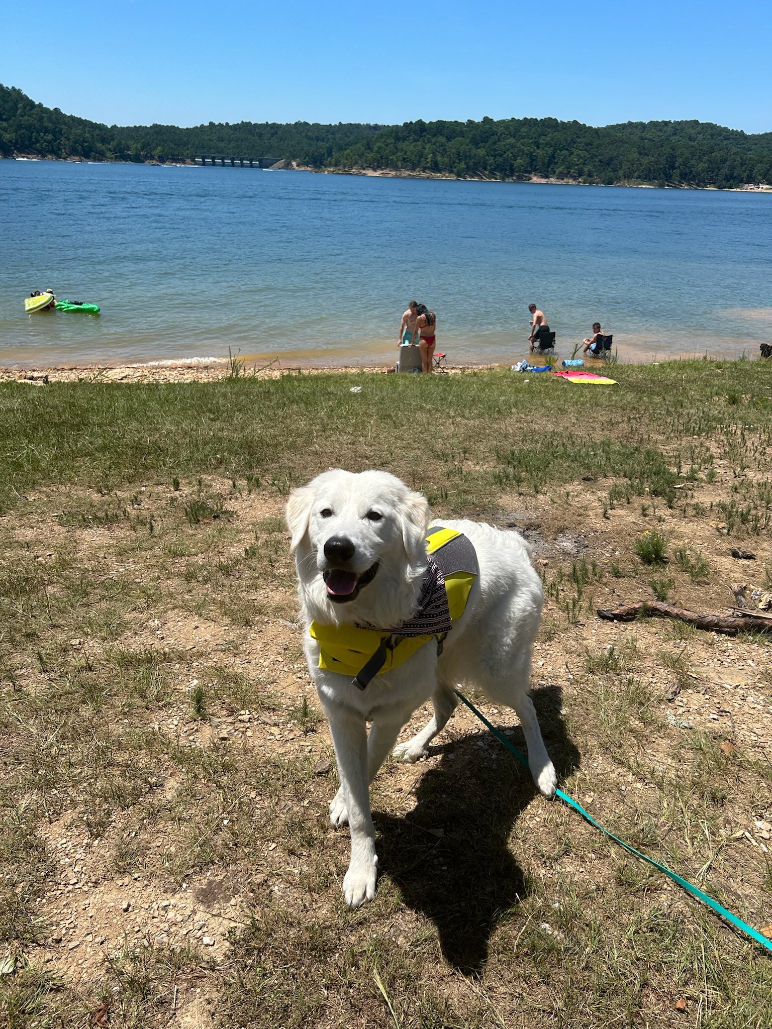 Titus life jacket when we go to the lake!! 🐶 
