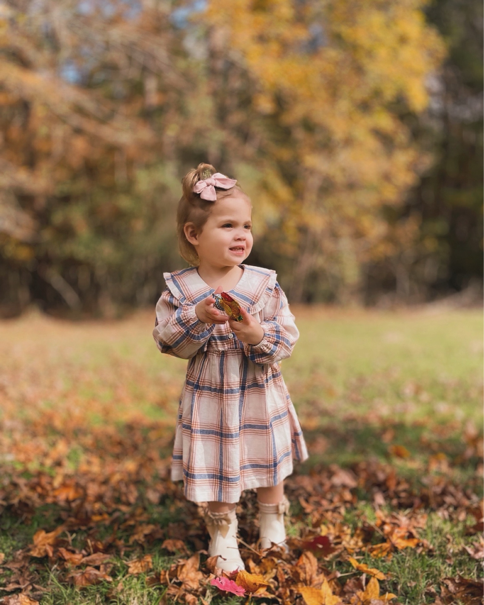 Toddler plaid dress 
Toddler girl boots 
Bow socks 
Fall outfit
Amazon finds


#LTKSeasonal #LTKBaby #LTKKids