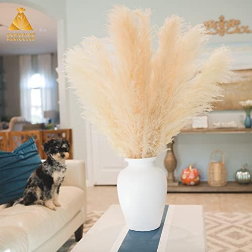 Sunshine Marigolds Large Pampas Grass 2021 Best Award Jumbo Extra-Fluffy Plumes Room Decor Dried ... | Amazon (US)