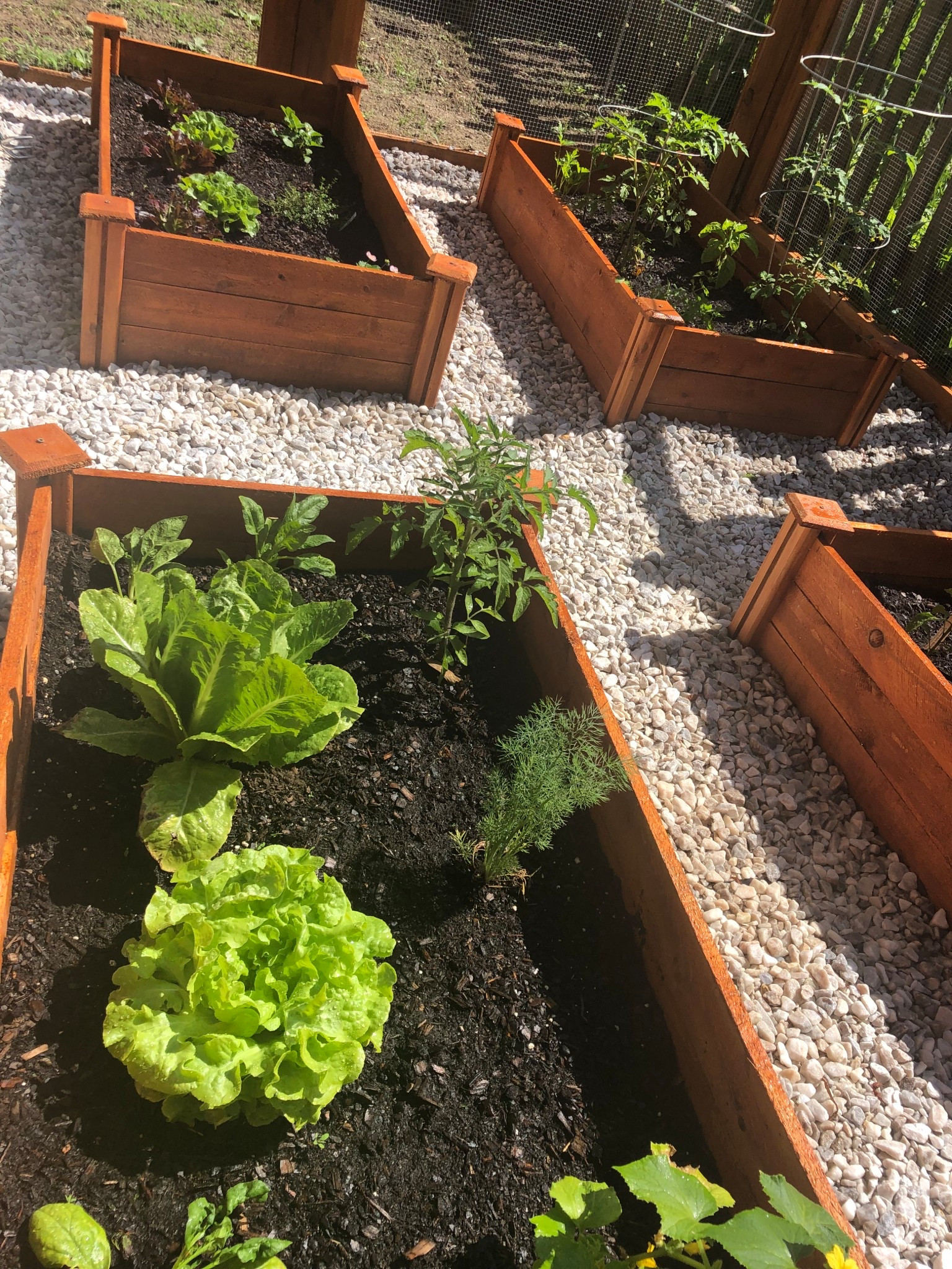 Garden beds, vegetable garden, diy garden bed 

#LTKHome