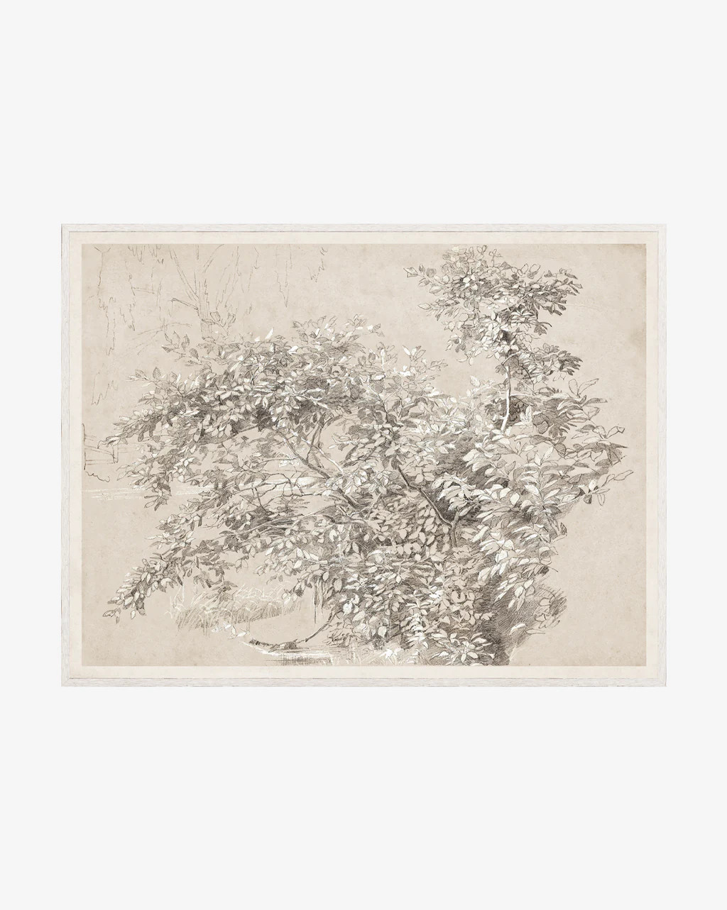 Light and Shadows | McGee & Co. (US)