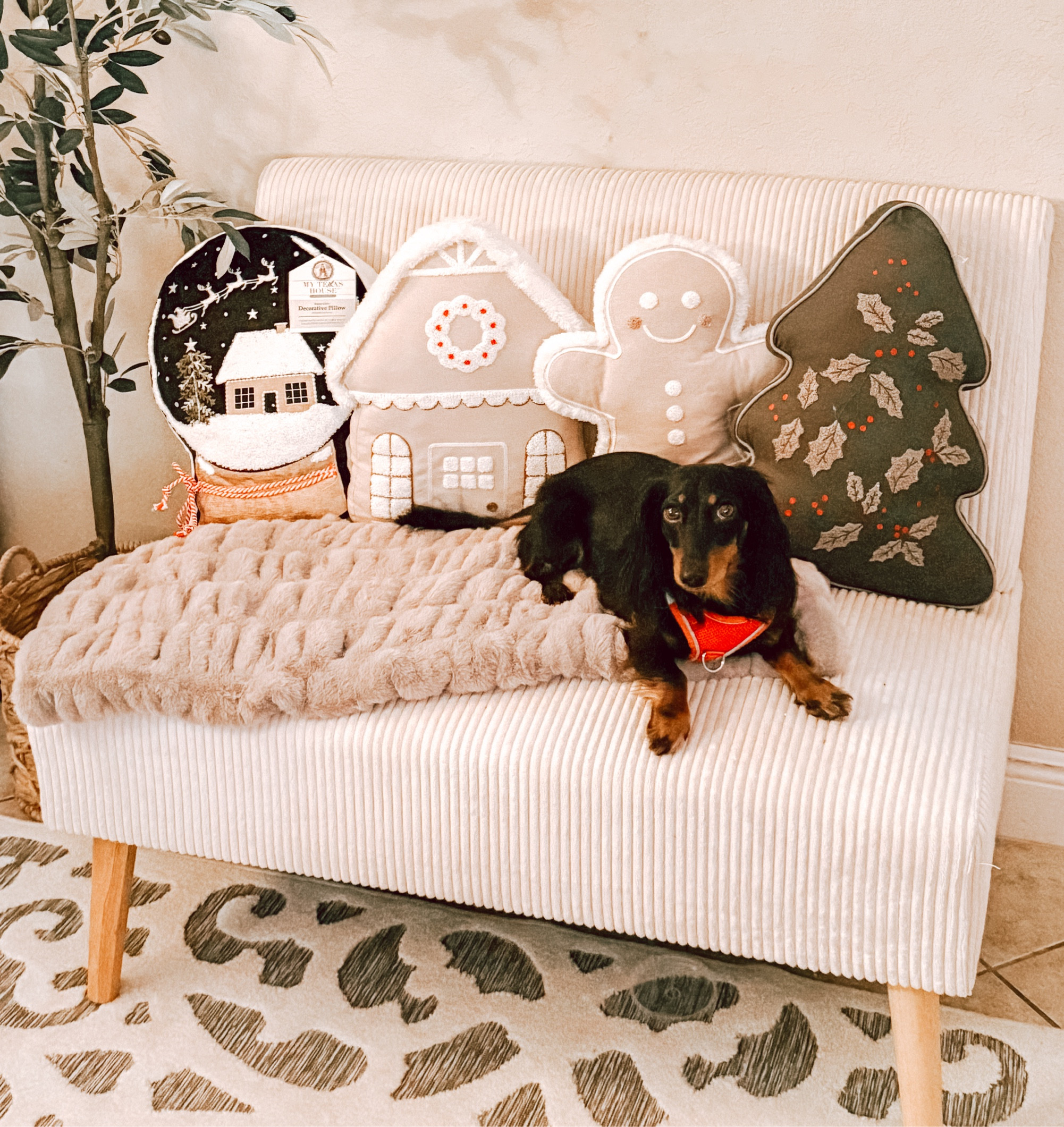 The cutest holiday pillows by My Texas House! 

#LTKSeasonal