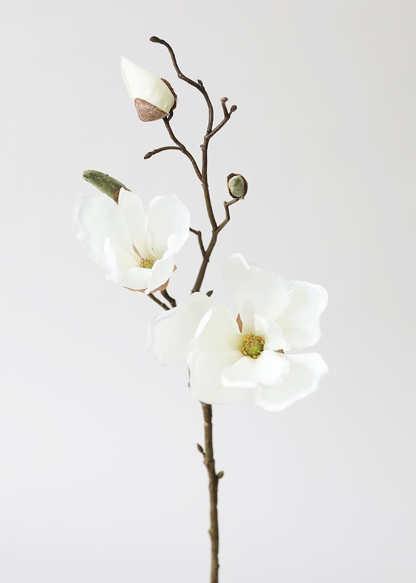 Silk Magnolia in Cream White - 19"Default Title | Afloral (US)