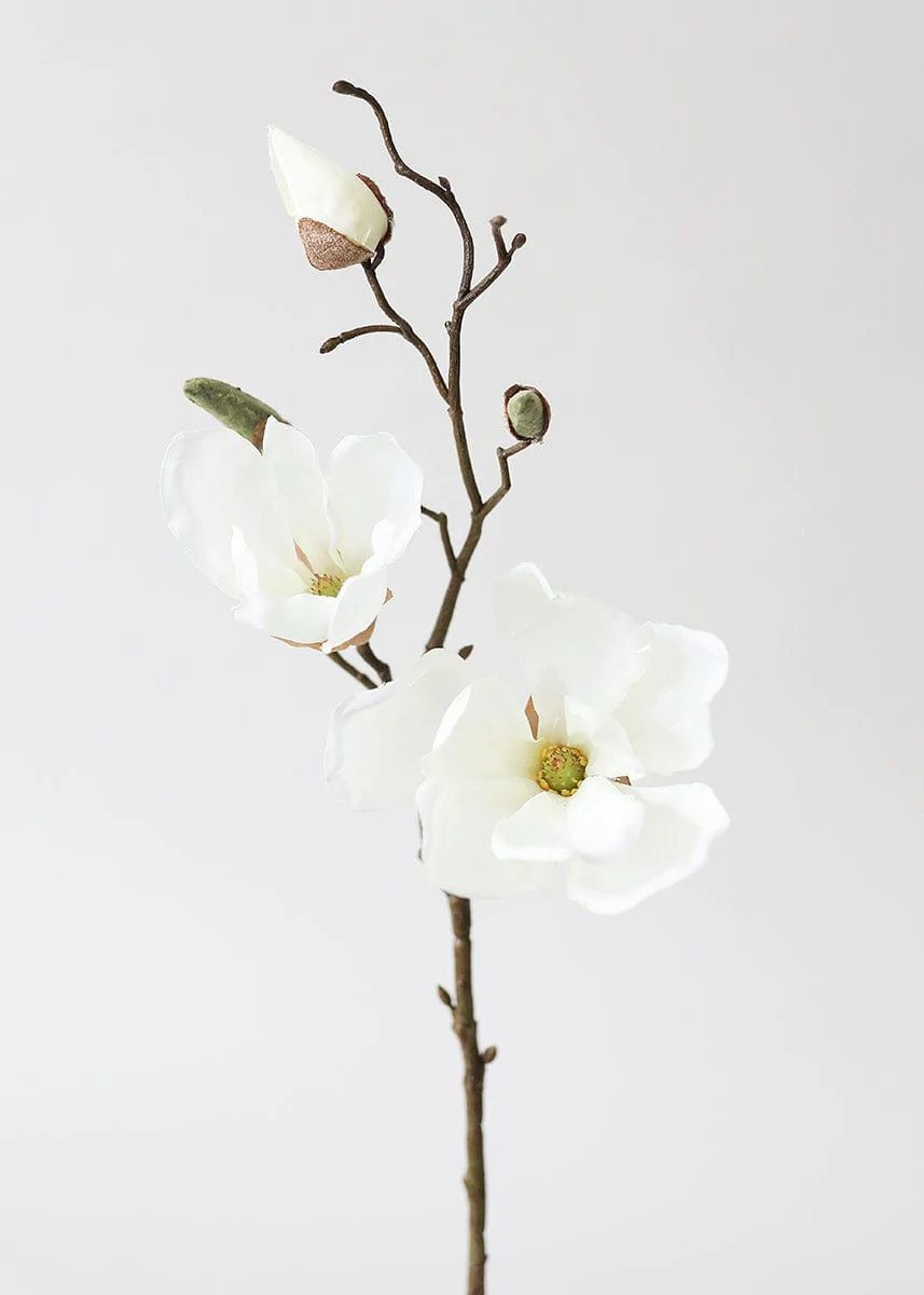 Silk Magnolia in Cream White - 19"Default Title | Afloral (US)