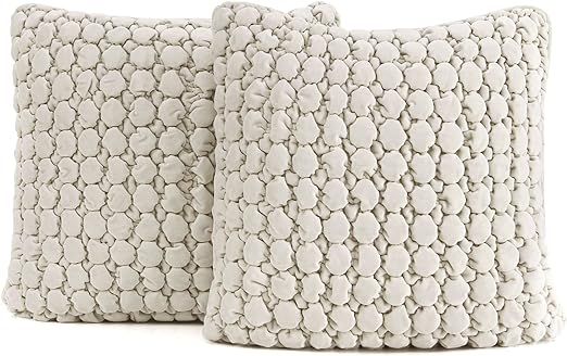 COCOPLOCEUS Set of 2 Boho Throw Pillow Covers 18x18 Decorative Farmhouse Pillow Covers Velvet Squ... | Amazon (US)