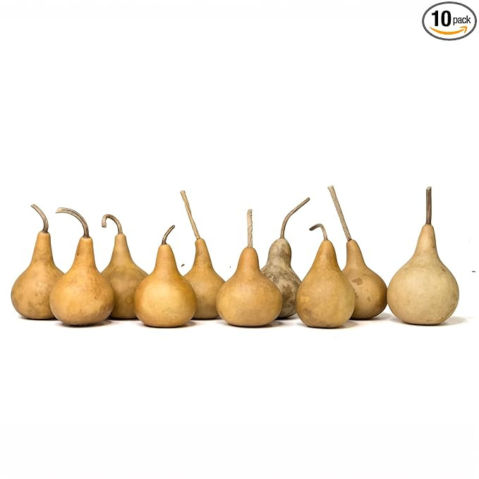 Box of 10 Dried Martin Gourds - 2" Diameter, Gourds for Crafting and Decorating | Amazon (US)