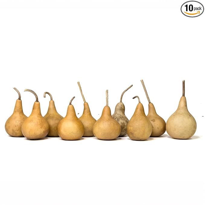 Box of 10 Dried Martin Gourds - 2" Diameter, Gourds for Crafting and Decorating | Amazon (US)