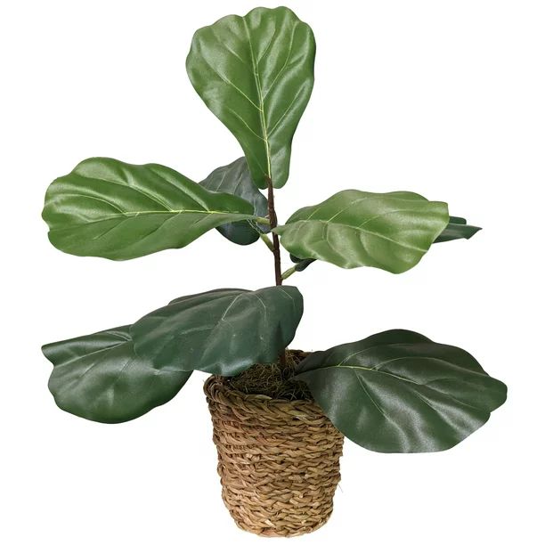 Mainstays Artificial 18" Green Fig Plant in a Handwoven Basket with Silk Leaves - Walmart.com | Walmart (US)
