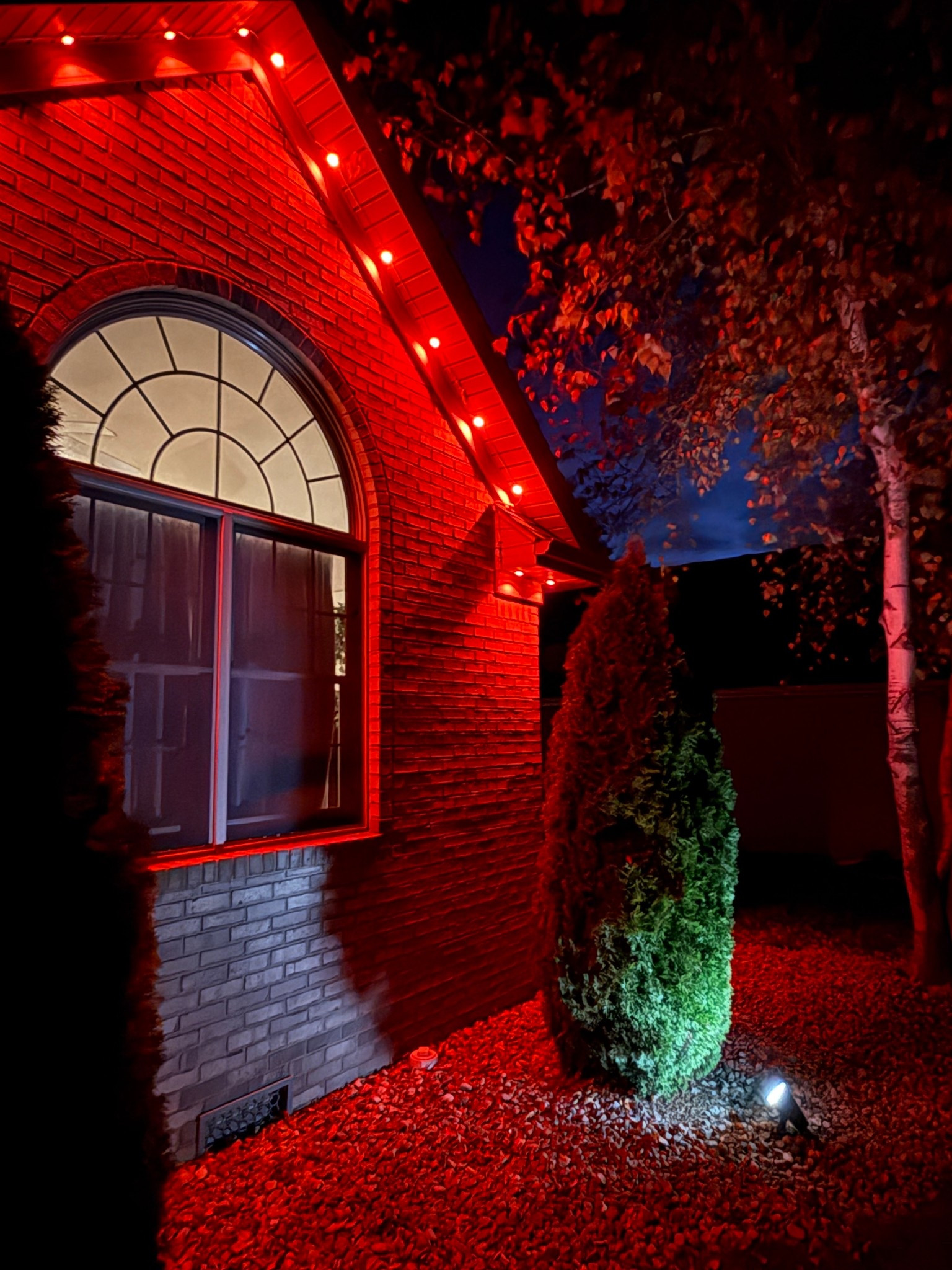 Govee lights are a great addition to your outdoor lighting! 🤳🏼

#LTKHome #LTKHoliday #LTKSeasonal