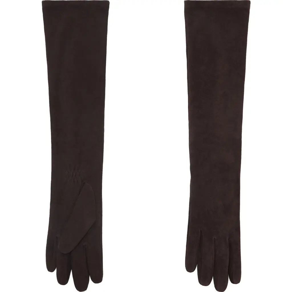 MANGO Selection Suede Opera Gloves in Chocolate at Nordstrom, Size Medium | Nordstrom