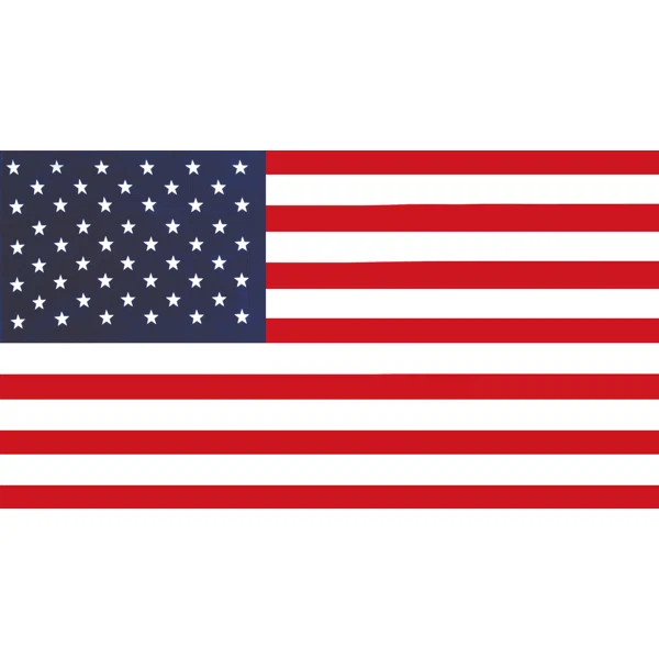 Tillman American Flag 100% Cotton Beach Towel | Wayfair North America