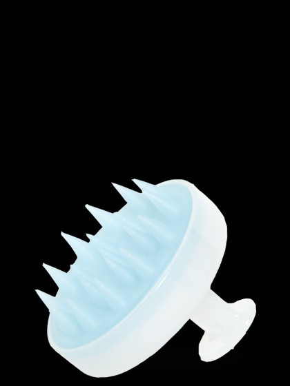 Scalp Brush | HairStory
