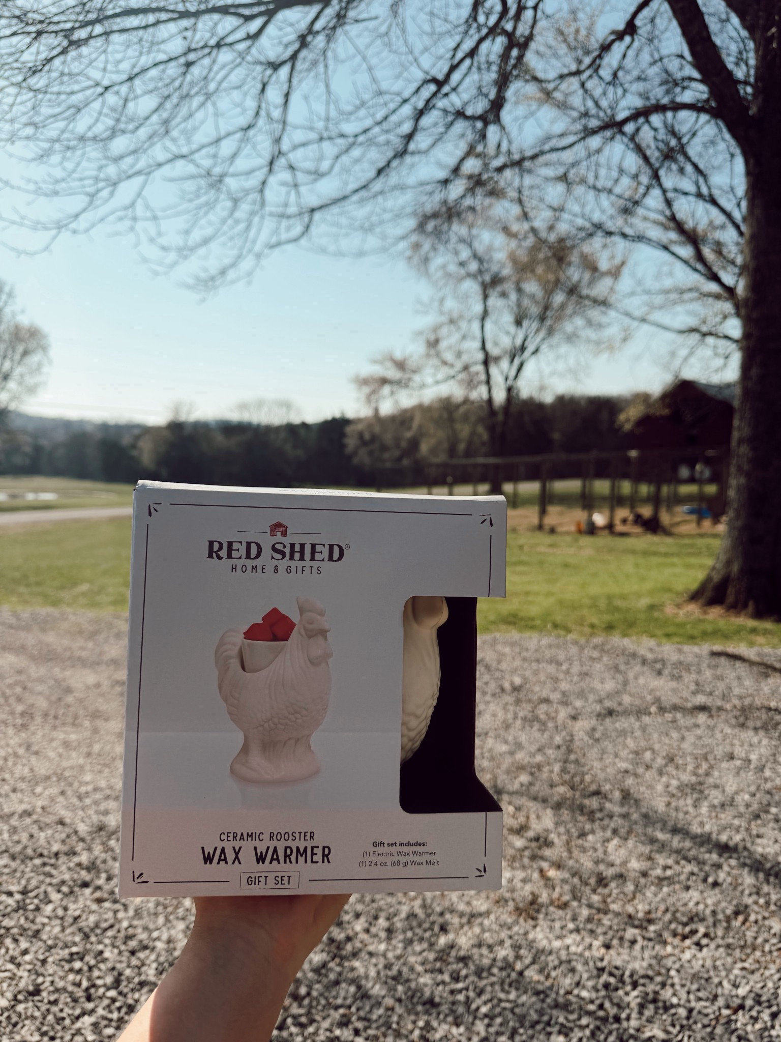 The cutest wax warmer! 🐣

#LTKmomlife #LTKHome #LTKspring