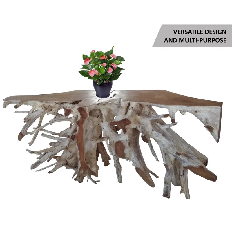 Lily's Living Live Edge Console Table Teak Root | Wayfair North America