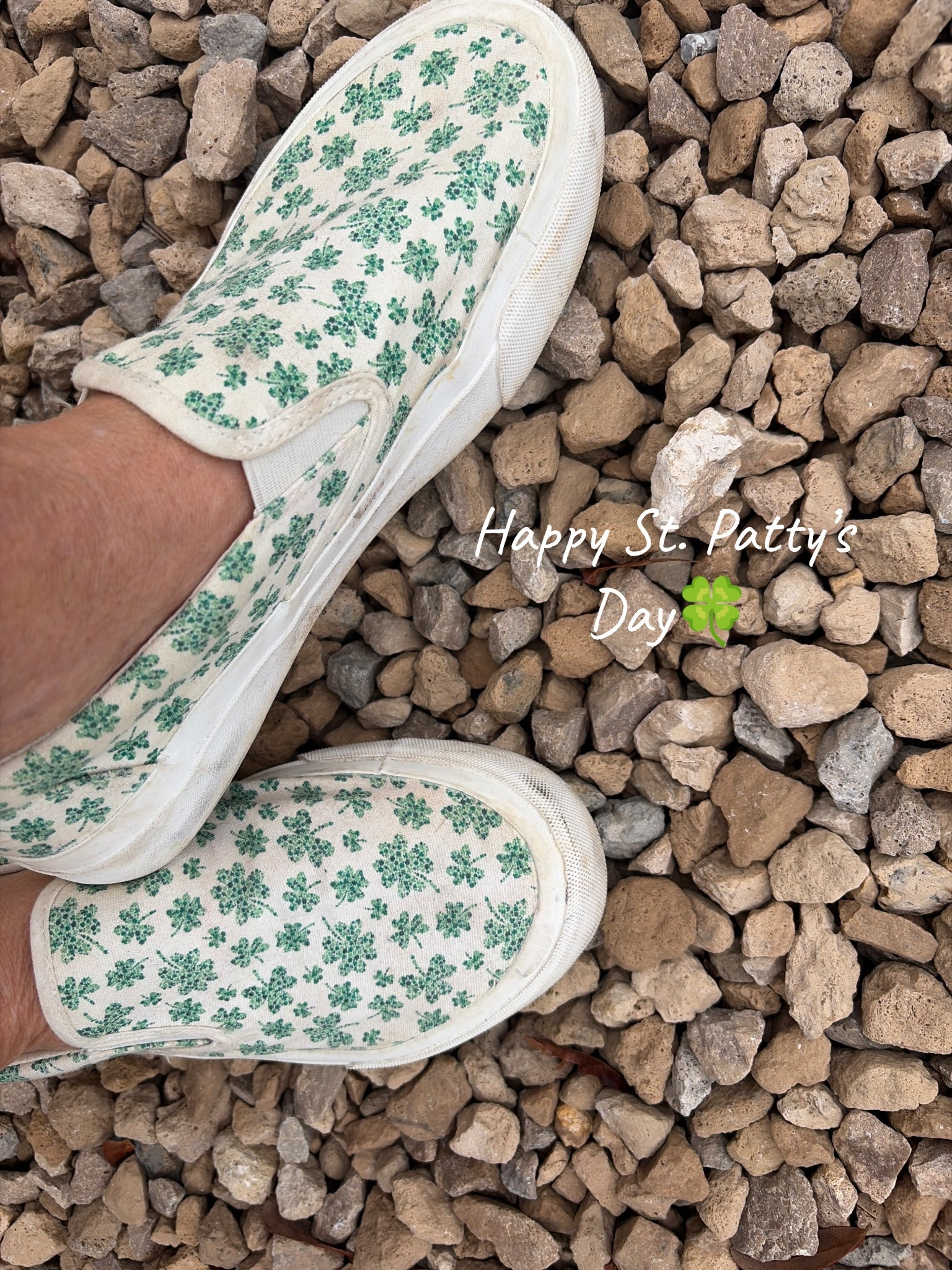My Favorite cute sneeks for St Patrick’s Day 🍀#sneakers

#LTKdayinmylife #LTKSeasonal