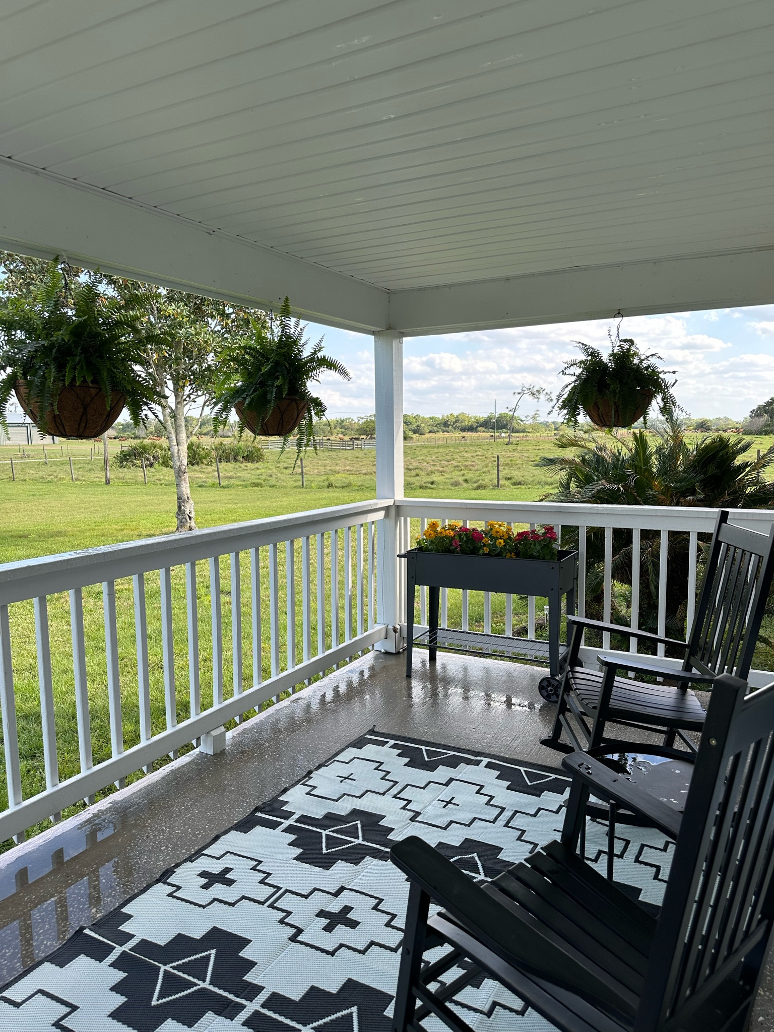 Outdoor rug! 

#LTKSeasonal #LTKStyleTip #LTKHome