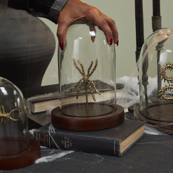 Specimen Cloche | Paynes Gray Inc
