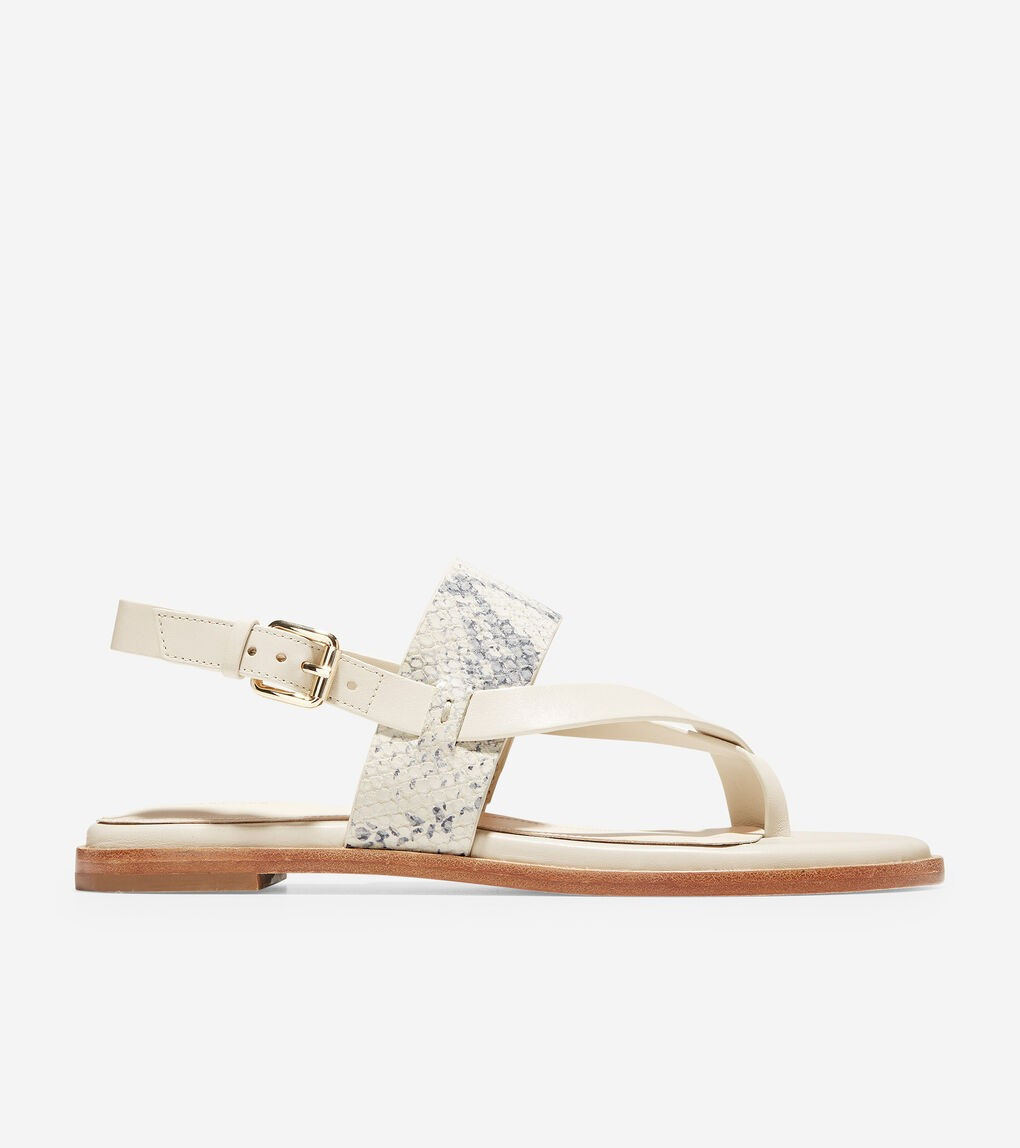 Anica Thong Sandal | Cole Haan (US)