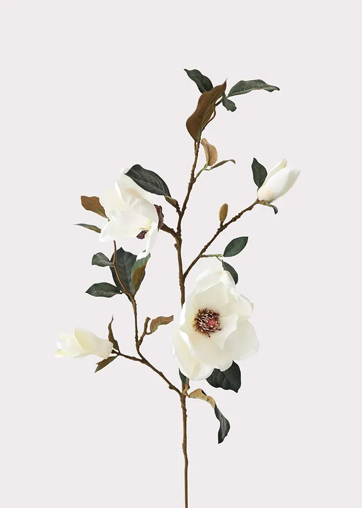 Afloral Rama de flores falsas de magnolia crema - 35" | Amazon (US)