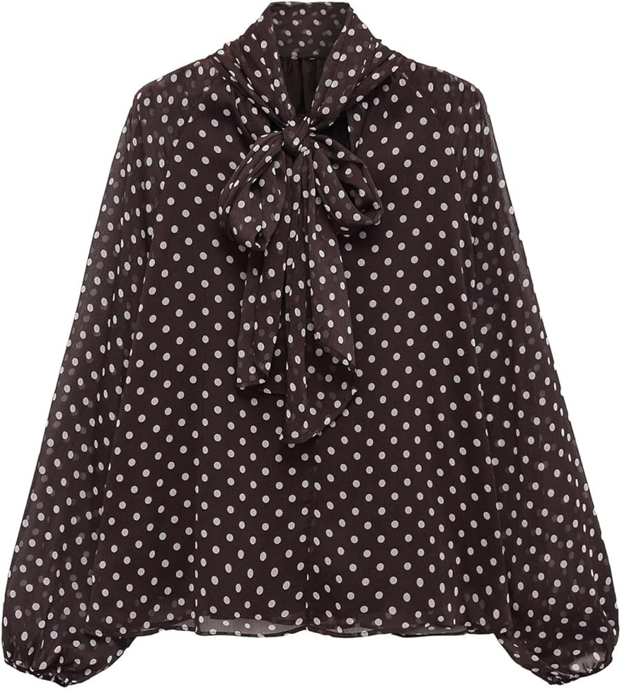 Womens Polka Dot Blouse Casual Bow Tied Neck Long Sleeve Soft Lined Bussiness Casual Shirt Tops | Amazon (US)
